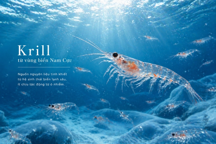 Osuper-omega-3-krill-oil-eikenbi-1.jpg